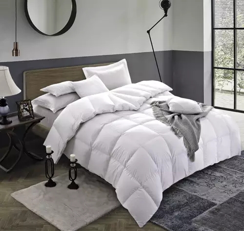 0.webp (1).jpg 0.webp (1).jpg